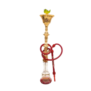 Fresh apple fruit head shisha hire